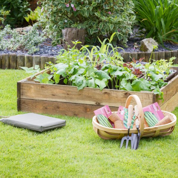 Image of Raised Bed 1M